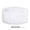 Optional Filter